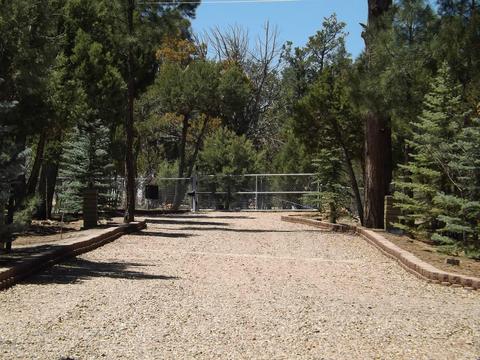 2863 Lejo Rd, Overgaard, AZ 85933 photo 59