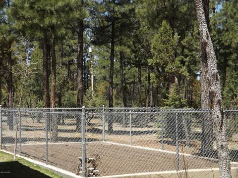 2863 Lejo Rd, Overgaard, AZ 85933 photo 18