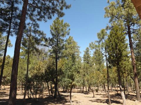 2863 Lejo Rd, Overgaard, AZ 85933 photo 66
