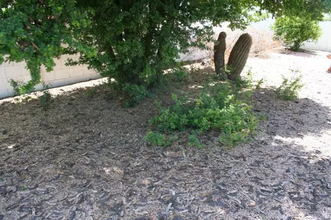122 E Tam Oshanter Dr, Phoenix, AZ 85022 photo 37