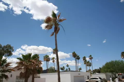 122 E Tam Oshanter Dr, Phoenix, AZ 85022 photo 42
