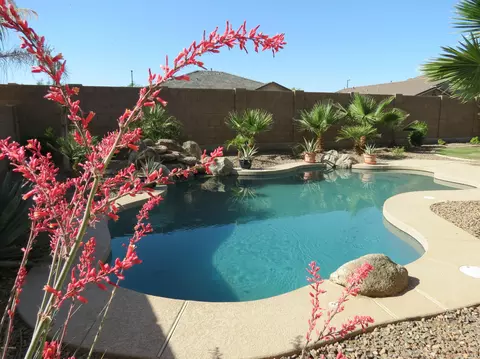 3009 E Lynx Way, Gilbert, AZ 85298 photo 2
