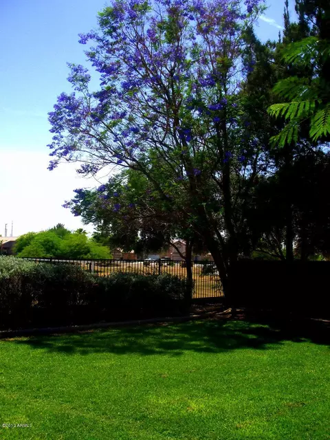 2485 E Jasper Dr, Gilbert, AZ 85296 photo 7