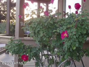 404 N Deer Trl, Payson, AZ 85541 photo 48