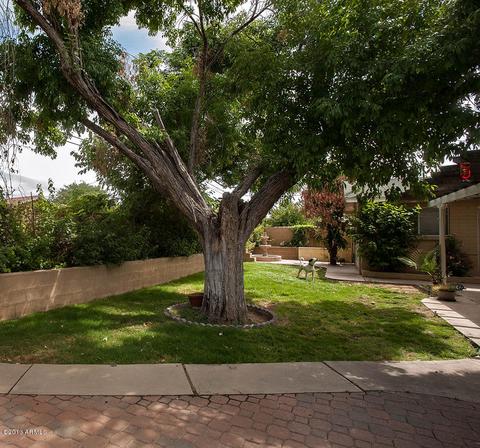 1844 E Hazelwood St, Phoenix, AZ 85016 photo 6
