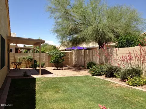 7238 E Lomita Ave, Mesa, AZ 85209 photo 20