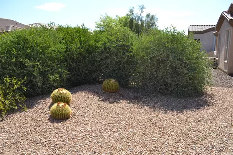 4630 E Rakestraw Ln, Gilbert, AZ 85298 photo 34