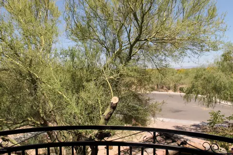 3923 E Crest Ln, Phoenix, AZ 85050 photo 15