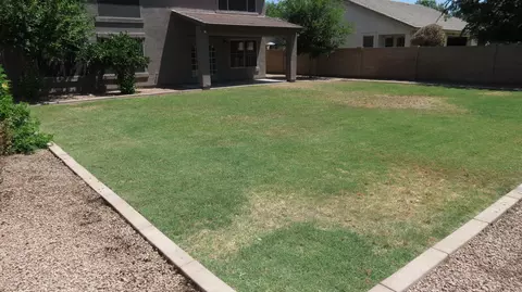 3269 E Cullumber St, Gilbert, AZ 85234 photo 33