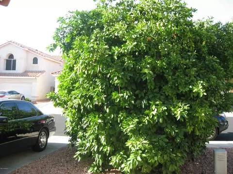 1327 E Muriel Dr, Phoenix, AZ 85022 photo 2