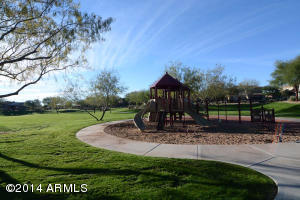 3683 E Louise Dr, Phoenix, AZ 85050 photo 14