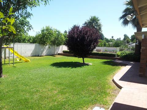 1930 E Huber St, Mesa, AZ 85203 photo 12