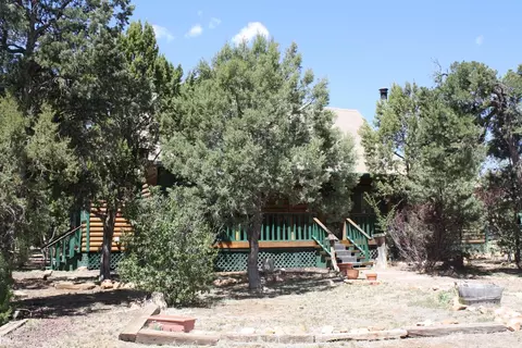 3740 Buckskin Rd, Overgaard, AZ 85933 photo 1