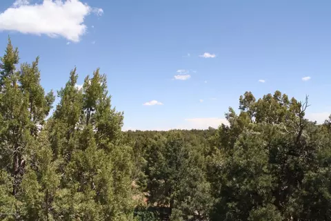 3740 Buckskin Rd, Overgaard, AZ 85933 photo 7