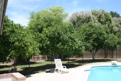 2340 E Laurel St, Mesa, AZ 85213 photo 17