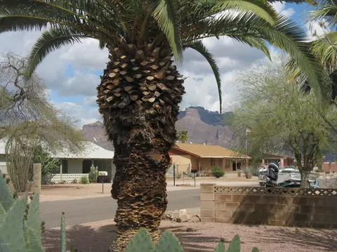 955 E Hondo Ave, Apache Junction, AZ 85119 photo 2
