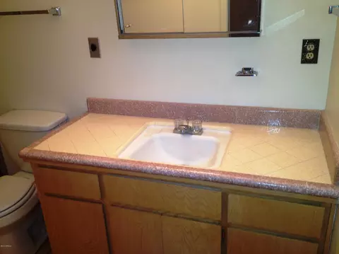 2339 E Alpine Ave, Mesa, AZ 85204 photo 21