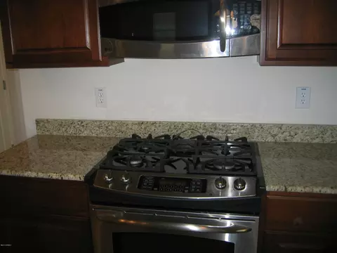 3937 E Cat Balue Dr, Phoenix, AZ 85050 photo 5