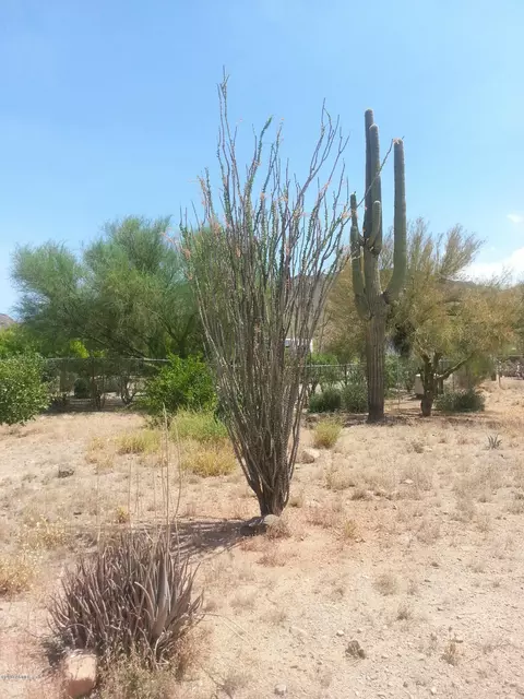 5217 N Meridian Rd, Apache Junction, AZ 85120 photo 30