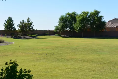 3025 E Andre Ave, Gilbert, AZ 85298 photo 7