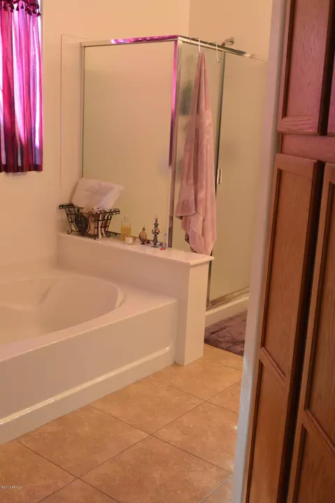 3025 E Andre Ave, Gilbert, AZ 85298 photo 28