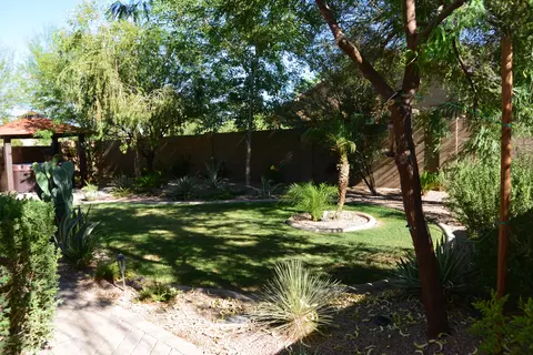 3025 E Andre Ave, Gilbert, AZ 85298 photo 36
