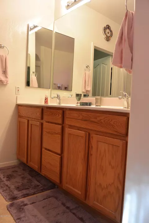3025 E Andre Ave, Gilbert, AZ 85298 photo 29