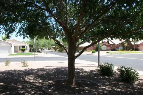 1743 E Horseshoe Ave, Gilbert, AZ 85296 photo 19