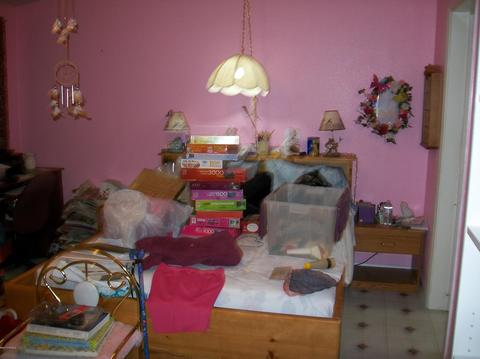 3116 E 4th Ave, Apache Junction, AZ 85119 photo 7