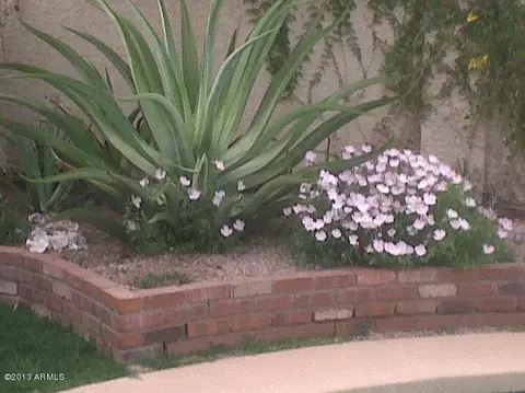 5702 E Gary St, Mesa, AZ 85205 photo 41