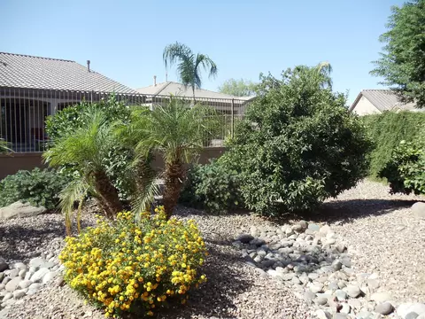 4211 E Carob Dr, Gilbert, AZ 85298 photo 27