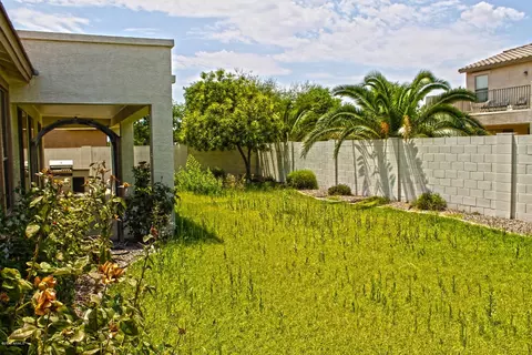 3236 E Phelps St, Gilbert, AZ 85295 photo 26