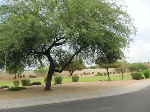 913 E Windsor Dr, Gilbert, AZ 85296 photo 29
