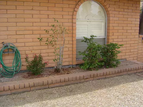 3939 E Sunnyside Dr, Phoenix, AZ 85028 photo 3