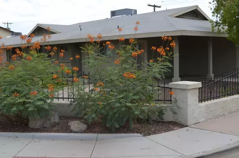 1909 E Dana Ave, Mesa, AZ 85204 photo 10