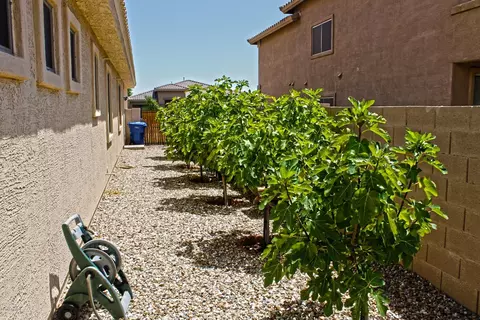 11410 E Stanton Ave, Mesa, AZ 85212 photo 31