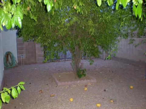 4635 E Florian Ave, Mesa, AZ 85206 photo 18