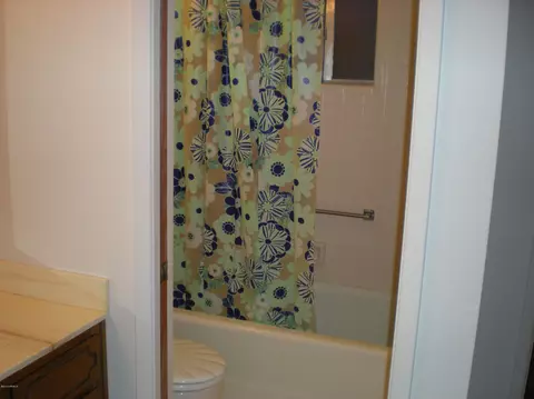 4635 E Florian Ave, Mesa, AZ 85206 photo 31