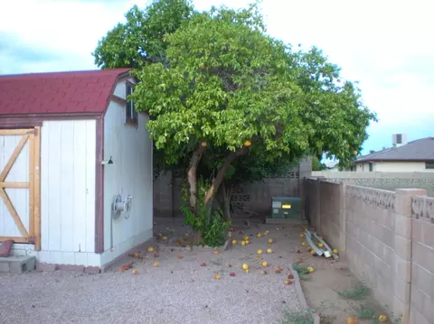 4635 E Florian Ave, Mesa, AZ 85206 photo 17