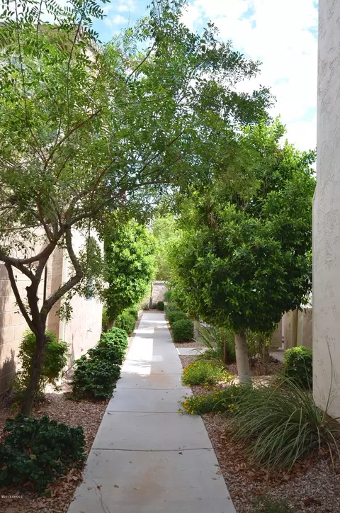 10210 E Isleta Ave, Mesa, AZ 85209 photo 6