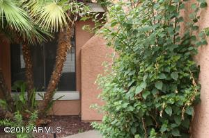 3510 E Hampton Ave #104, Mesa, AZ 85204 photo 3