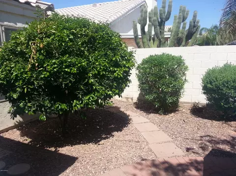 1703 E Redfield Rd, Gilbert, AZ 85234 photo 28