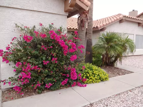 2650 E Menlo St, Mesa, AZ 85213 photo 32