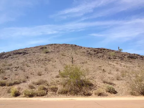 3521 E South Fork Dr, Phoenix, AZ 85044 photo 31