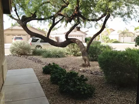 3325 E San Remo Ave, Gilbert, AZ 85234 photo 16