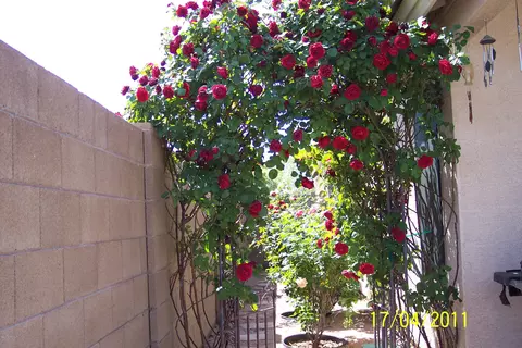 9304 E Milagro Ave, Mesa, AZ 85209 photo 38