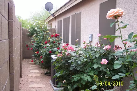 9304 E Milagro Ave, Mesa, AZ 85209 photo 41