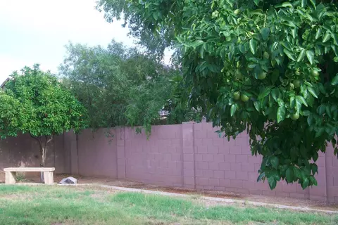 10441 E Forge Ave, Mesa, AZ 85208 photo 19