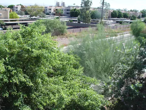 1005 E 8th St #3006, Tempe, AZ 85281 photo 22