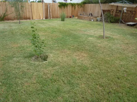 922 E Amelia Ave, Phoenix, AZ 85014 photo 19